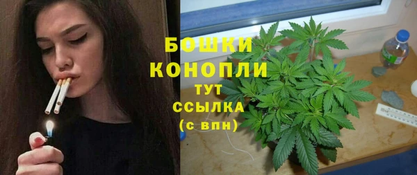 дурь Лиски