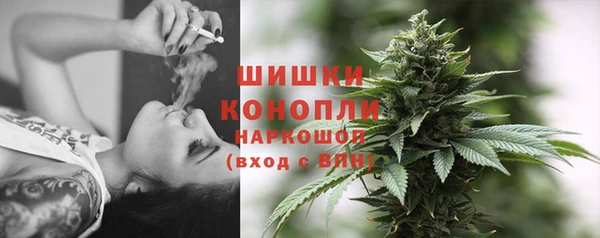 дурь Лиски