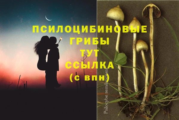 крисы Лихославль