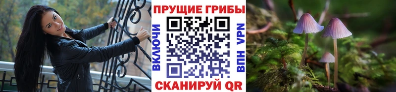 Купить закладки  Люберцы  Галлюциногенные грибы мицелий 